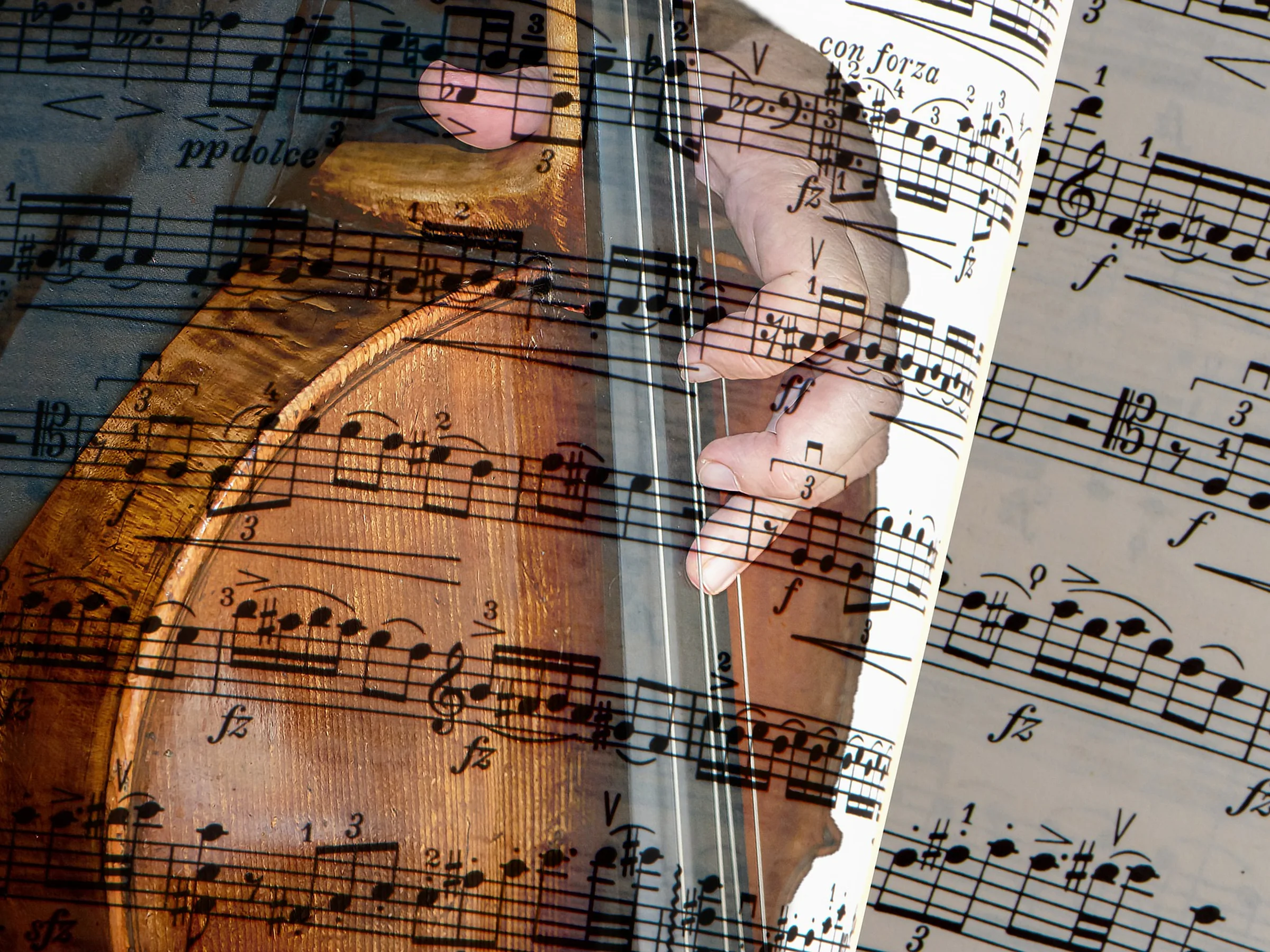 Un violonchelista interpreta su instrumento entre varias páginas de partituras.